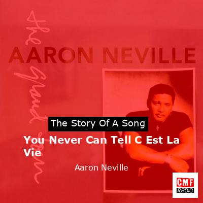 You Never Can Tell C Est La Vie – Aaron Neville