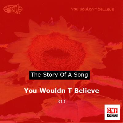final cover You Wouldn T Believe 311