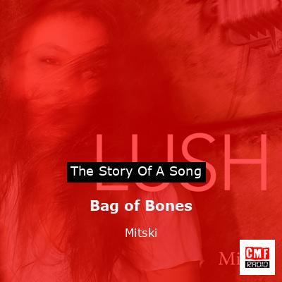 final cover Bag of Bones Mitski
