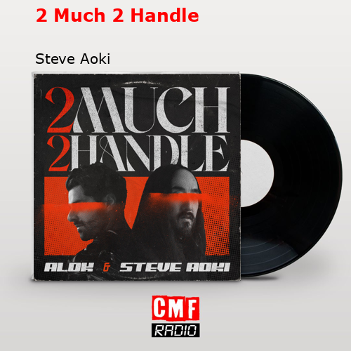 2 Much 2 Handle – Steve Aoki
