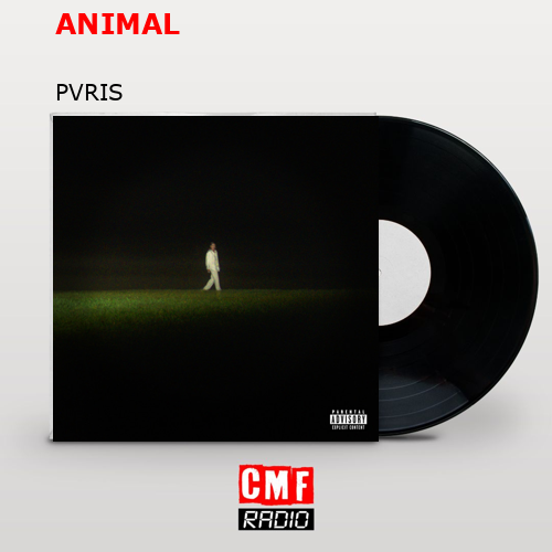 ANIMAL – PVRIS