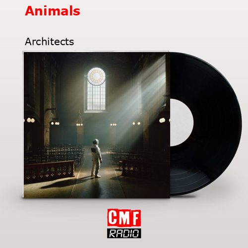 Animals – Architects