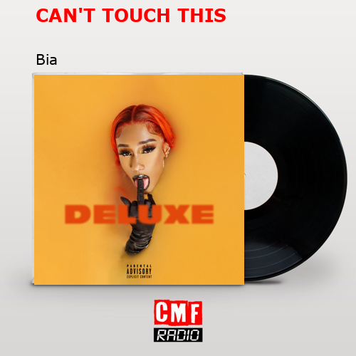final cover CANT TOUCH THIS Bia