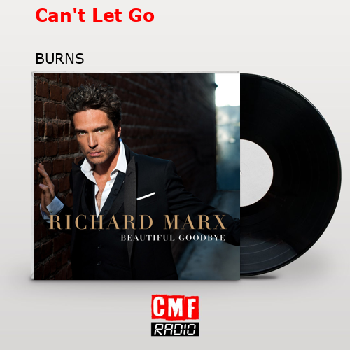 final cover Cant Let Go BURNS