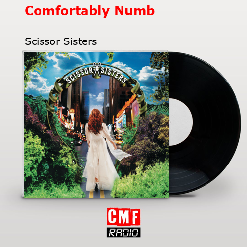 Comfortably Numb – Scissor Sisters