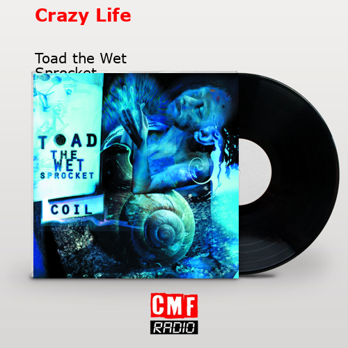 Crazy Life – Toad the Wet Sprocket
