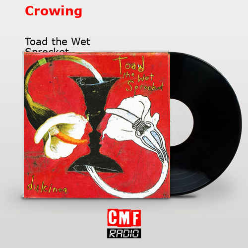 Crowing – Toad the Wet Sprocket