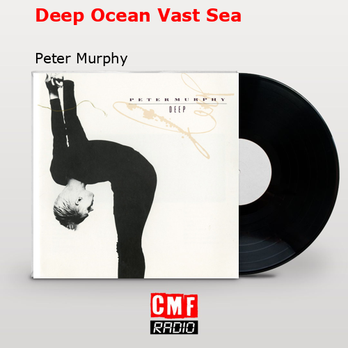 Deep Ocean Vast Sea – Peter Murphy