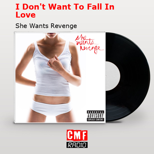 final cover I Dont Want To Fall In Love She Wants Revenge