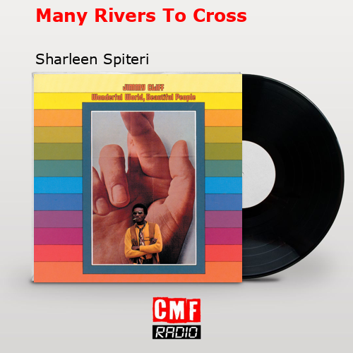 final cover Many Rivers To Cross Sharleen Spiteri
