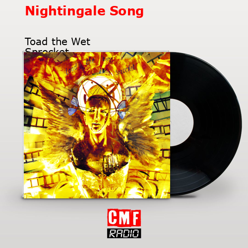 Nightingale Song – Toad the Wet Sprocket