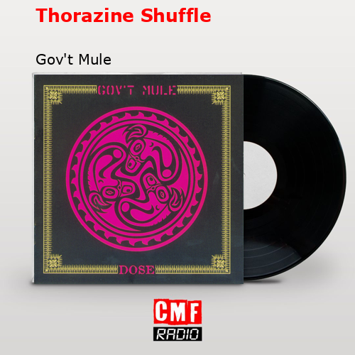 Gov't Mule Beautifully Broken When Doves Cry La historia y el significado de la canción 'Thorazine Shuffle - Gov't