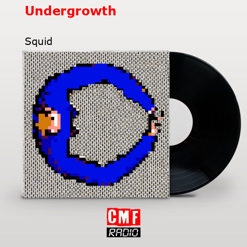 Undergrowth – Squid