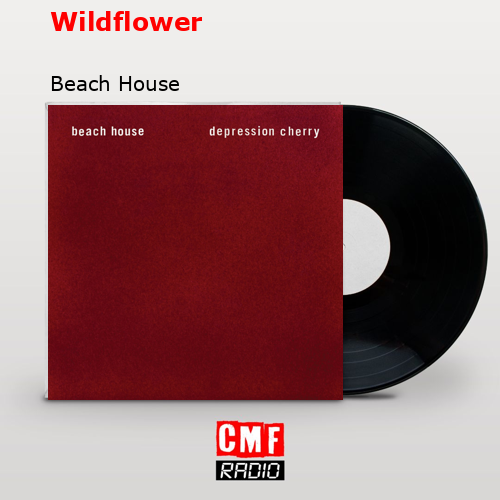 final cover Wildflower Beach House