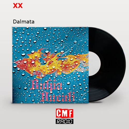 XX – Dalmata