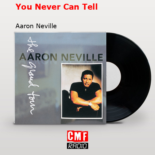 You Never Can Tell – Aaron Neville