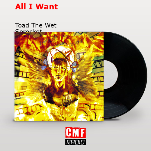 All I Want – Toad The Wet Sprocket