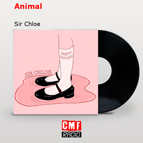 Animal – Sir Chloe