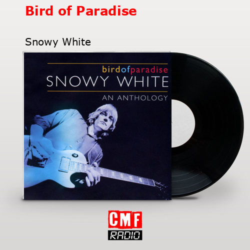 Bird of Paradise – Snowy White