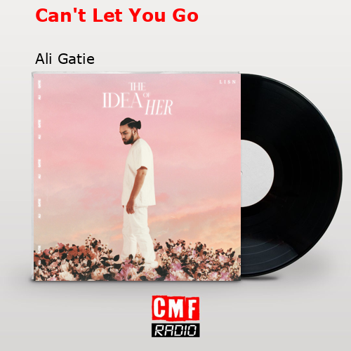 Can’t Let You Go – Ali Gatie
