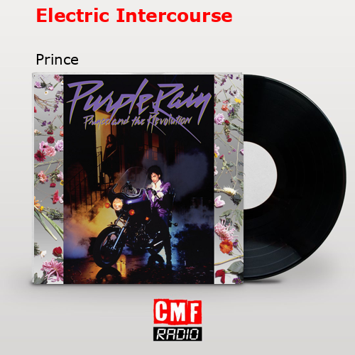 Electric Intercourse – Prince