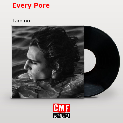 Every Pore – Tamino
