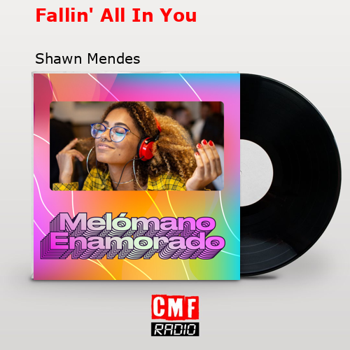 Fallin’ All In You – Shawn Mendes