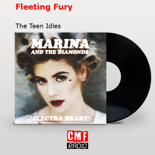final cover Fleeting Fury The Teen Idles