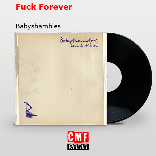 Fuck Forever – Babyshambles