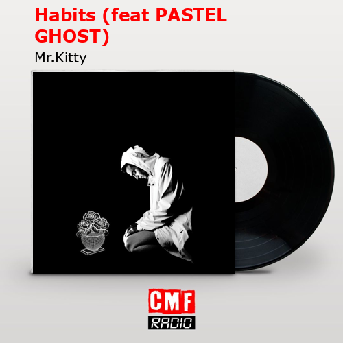 La historia y el significado de la canción 'Habits (feat PASTEL GHOST) - Mr. Kitty 