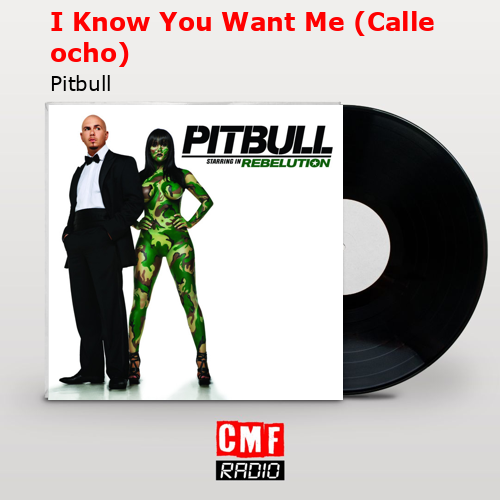 I Know You Want Me (Calle ocho) – Pitbull