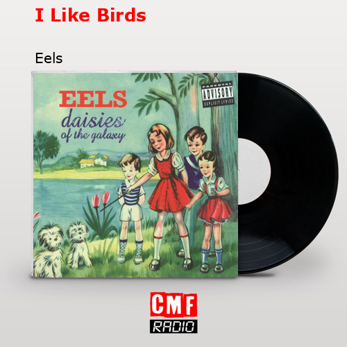 final cover I Like Birds Eels