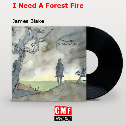 final cover I Need A Forest Fire James Blake