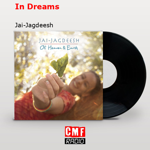 final cover In Dreams Jai Jagdeesh