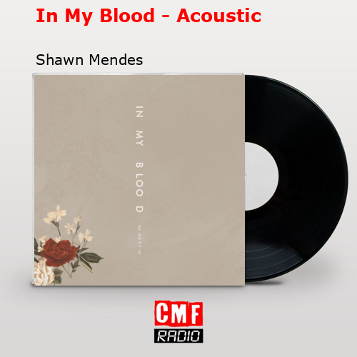 In My Blood – Acoustic – Shawn Mendes