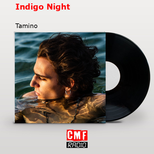 final cover Indigo Night Tamino