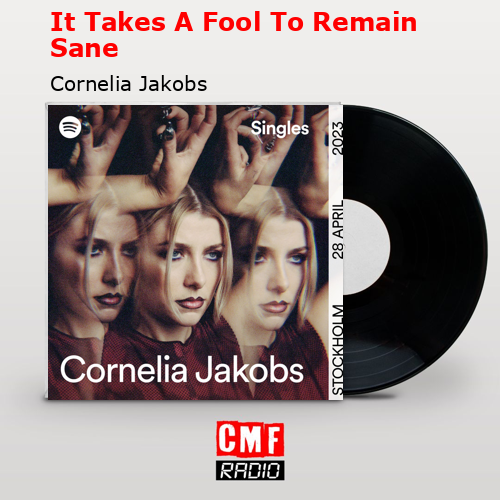 It Takes A Fool To Remain Sane – Cornelia Jakobs