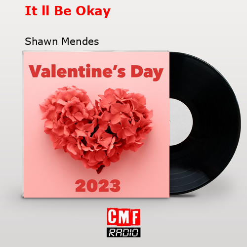 It ll Be Okay – Shawn Mendes