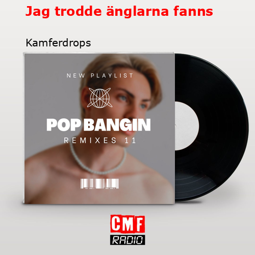 y el significado de canción 'Jag trodde änglarna fanns - Kamferdrops '