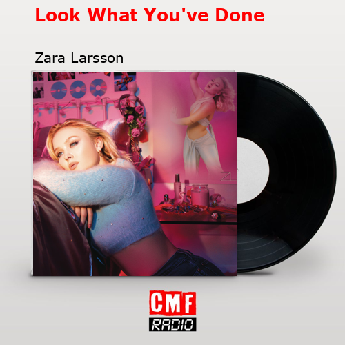 Look What You’ve Done – Zara Larsson