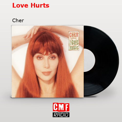Love Hurts – Cher