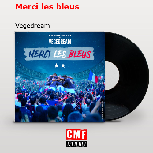 final cover Merci les bleus Vegedream