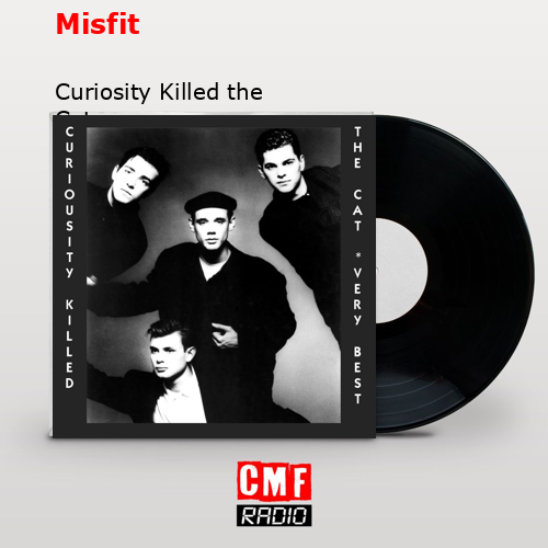 final cover Misfit Curiosity Killed the Cat