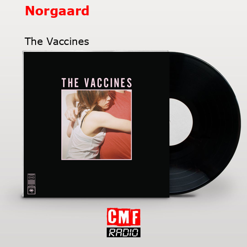 final cover Norgaard The Vaccines