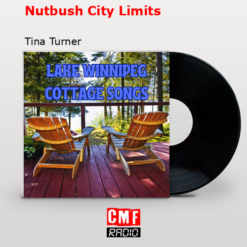 Nutbush City Limits – Tina Turner