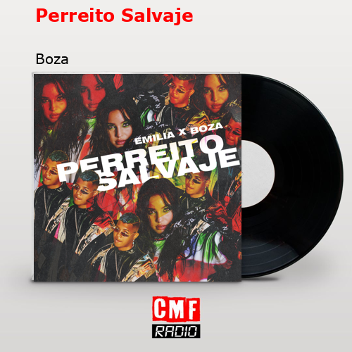 Perreito Salvaje – Boza