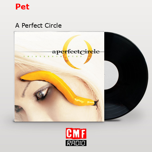 Pet – A Perfect Circle