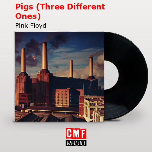 Pigs (Three Different Ones) – Pink Floyd
