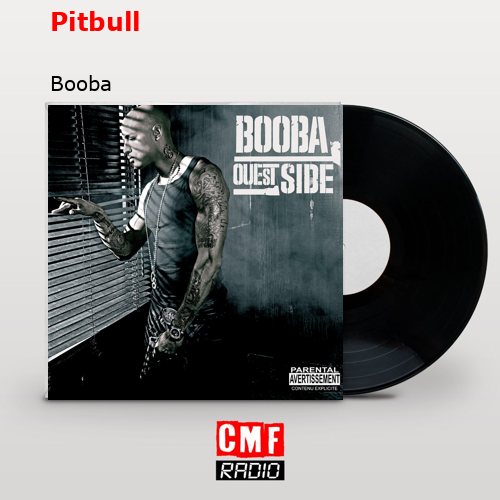 final cover Pitbull Booba