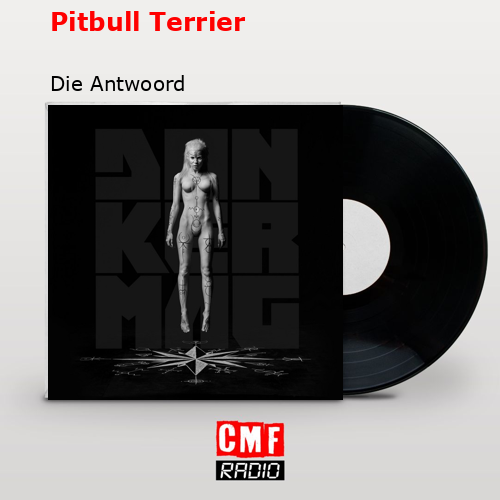 Pitbull Terrier – Die Antwoord